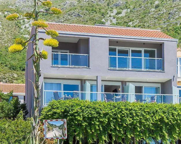 Boutique Flamingo B&B
